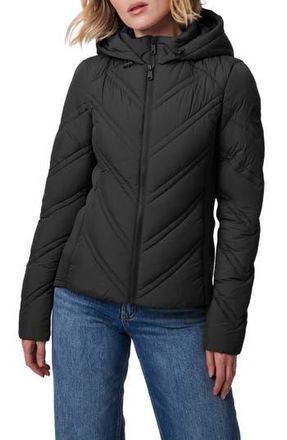 Bernardo Hooded Puffer Jacket with Bib in Black at Nordstrom Rack, Size Xx-Large