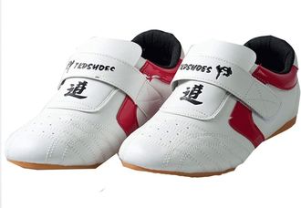 Generic Martial Arts Taewondo Shoes, Breathable Unisex Sports Boxing Karate Kung Fu Tai Chi for Children Teenager Adults(10.5 UK Child) White