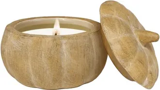 Sweet Water Decor Figural Pumpkin Soy Fall Candle in Pumpkin Spice at Nordstrom