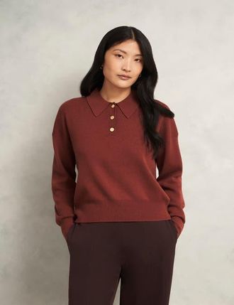 Hobbs London Connie Polo Sweater in Cinnamon Brown at Nordstrom, Size X-Large