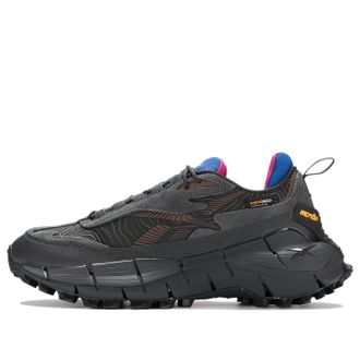 Reebok Zig Kinetica 2.5 Pure Grey Vector Blue 100033180