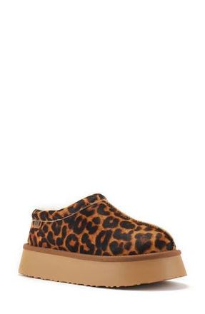 Australia Luxe Outback Genuine Shearling Platform Slipper in Leopard at Nordstrom Rack, Size 7