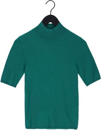 Notshy Truien & Vesten, Dames, Groen, M, Kasjmier, Madeleine Turtleneck