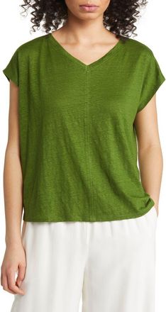Eileen Fisher V-Neck Organic Linen T-Shirt in Field at Nordstrom, Size Xx-Small