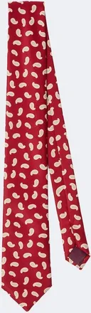 Charvet Paisley silk twill tie