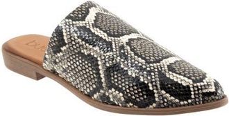 Bueno Bambi Pointed Toe Mule in Black Snake at Nordstrom, Size 10.5-11Us