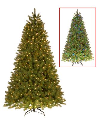National Tree Company 9 Downswept Douglas Fir Tree