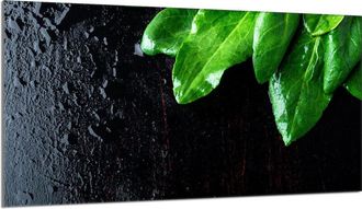 OEM Protector De Cristal Para Encimera 90x52 Albahaca