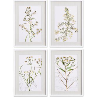 Napa Home & Garden Daisy Prints Set of 4 in Yellow at Nordstrom, Size Medium