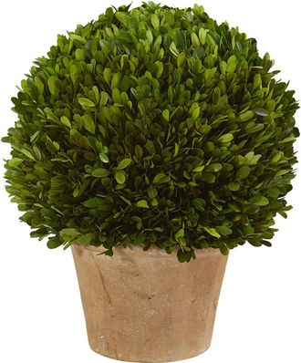 Nearly Natural 15in Boxwood Ball Preserved Plant in Planter