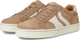 Born Beck Tie Mens Lace-up Boots Taupe : 11.5 M (D), Leather