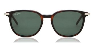Ferragamo SF 1015S 214 Mens Sunglasses Tortoiseshell Size 52