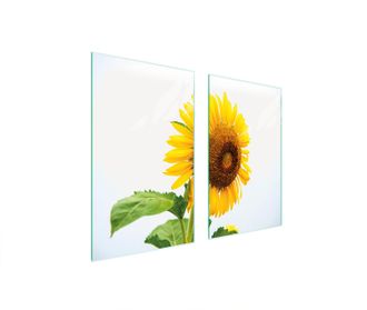 OEM Piastra Protettiva In Vetro Per Stufa 75x52 Flower