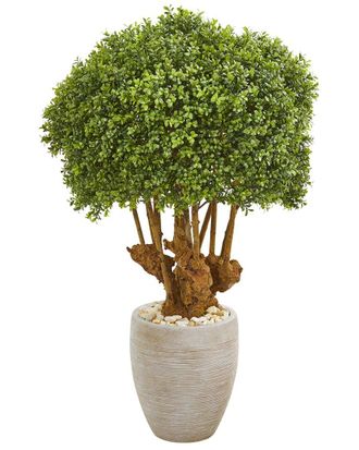 Nearly Natural 41In Boxwood Artificial Topiary Tree In Sandstone Planter (Indoor/Outdoor)