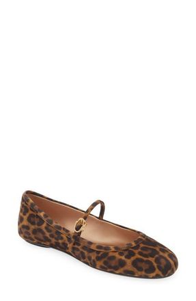 Gianvito Rossi Carla Ballerina in Almond Leopard Print at Nordstrom, Size 41.5