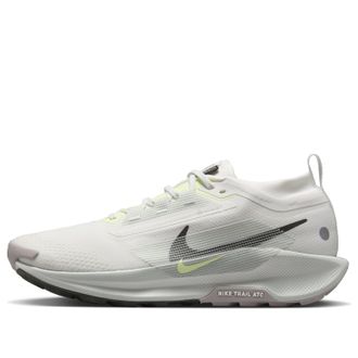 Nike Pegasus Trail 5 Gore-Tex Summit White Sequoia FQ0908-102