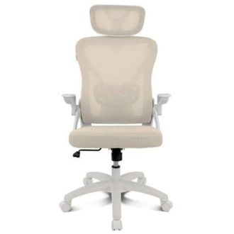 OEM Ergonomic Chair Drift Drair35 Beige Mesh Back Reclining Armrests Foldable 120 Kg