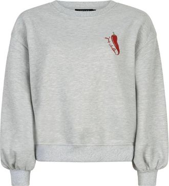 Ydence Ydence, Dames, Sweatshirts & Hoodies, Grijs, Maat: XL