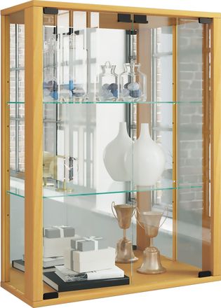 ebuy24 Ebuy24 - Estuche De Cristal Vcm Colgante Estuche De Cristal Con Vidrio De Seguridad Esg Dimensiones Aprox. Al. 80 X An. 60 X P. 25 Cm Gabinete Colgant