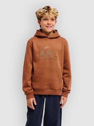Quiksilver Comp Logo Kids Hoodie bruin