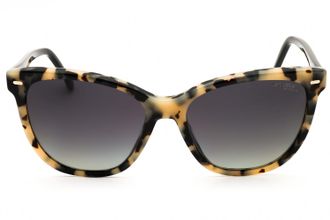 Carrera CARRERA3043S Sunglasses - Brown