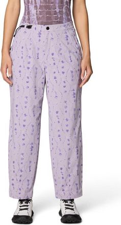 Mountain Hardwear Peak Rambler Pants in Atmospheric Cascade Print at Nordstrom, Size 12