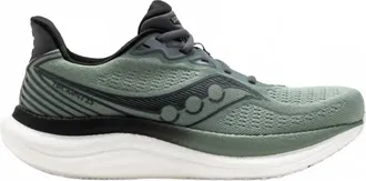 Saucony Mens Triumph 23 Shoe In Iceberg Carbon