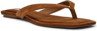 Steve Madden Trella Flip Flop in Chestnut Suede at Nordstrom, Size 9.5