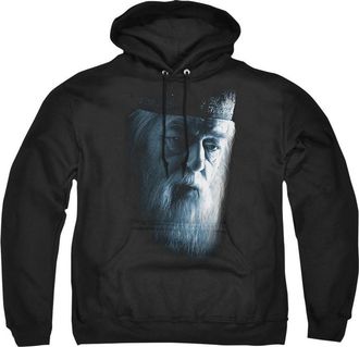 Gildan Harry Potter Dumbledore Face Adult Pull Over Hoodie / Hooded Sweatshirt