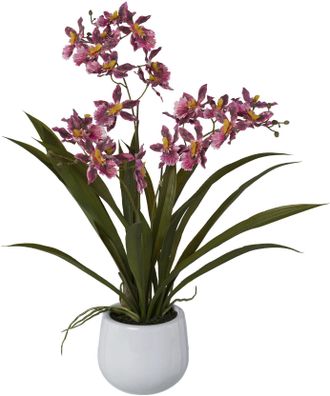 Creativ Green Kunstorchidee »Gambia« im Keramiktopf