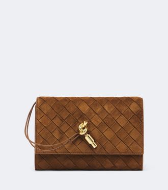 Bottega Veneta Pouch Andiamo de ante con correa Intrecciato