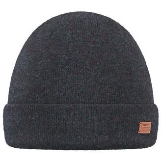 Barts Vale Beanie M&uuml;tze f&uuml;r Herren | grau