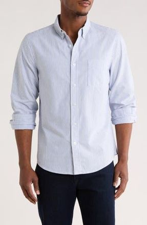 14th & Union Stripe Cotton Oxford Button-Down Shirt in White- Blue Bengal Stripe at Nordstrom Rack, Size Xx-Large