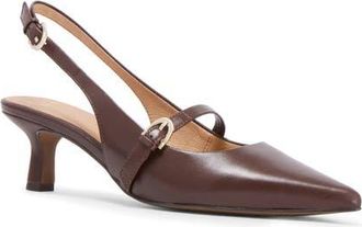 FRANKiE4 Coco Slingback Pointed Toe Kitten Heel Pump in Chestnut at Nordstrom, Size 8.5