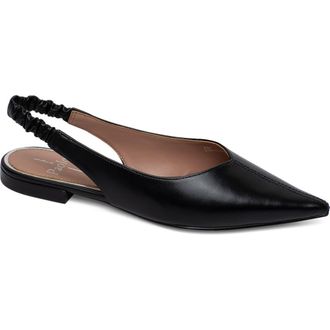 Linea Paolo Diana Slingback Pointed Toe Flat in Black at Nordstrom Rack, Size 5.5