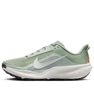 Nike x ACG Pegasus Trail Jade Horizon Light Silver HV8116-310
