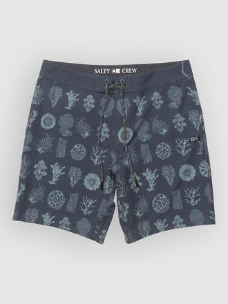 Salty Crew Crew Boardshorts blauw