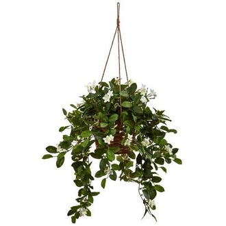 Nearly Natural Mixed Stephanotis Hanging Basket in Green at Nordstrom