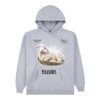 Pleasures Heren, Sweatshirts & Hoodies, Grijs, Maat: L