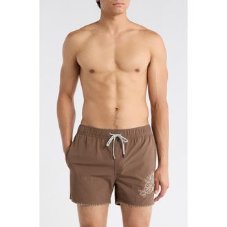 Vintage Summer Swimwear Embroidered Shortie Volley Swim Trunks in Coffee at Nordstrom Rack, Size Xx-Large