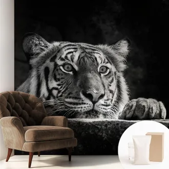 Tulup Carta Da Parati Non Tessuto - Decorazione Da Muro - Traspirante - Con Motivo - Per Camera Da Letto Cucina Sguardo Predatorio 250x250 Cm