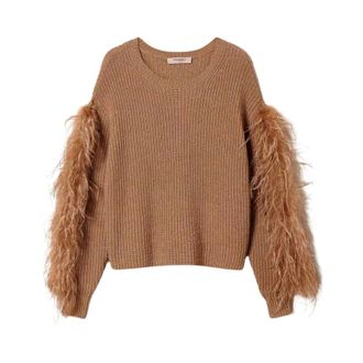 Twinset Round-neck Knitwear, female, Brown, Size: XS Wool Blend Sweater with Feathers