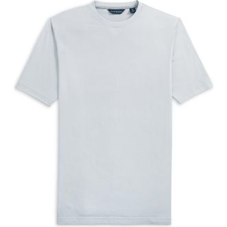 Scott Barber Liquid Pima Cotton T-Shirt in Mist at Nordstrom, Size Xx-Large