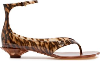 Chlo&eacute; Jelly 25 Thong Sandals - Brown - 36 (IT36 / UK3)