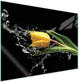 OEM Placa Protectora De Vidrio Para Estufa 70x52 Tulip