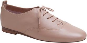 Linea Paolo Mirna Oxford Flat in Blush at Nordstrom, Size 6.5