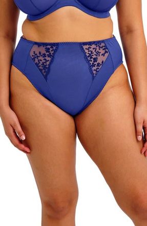 Elomi Zarla High Leg Briefs in Sapphire at Nordstrom, Size 3X-Large