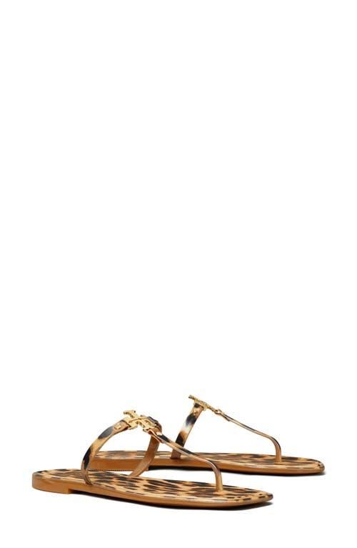 Roxanne Jelly Thong Sandal in Classic Leopard at Nordstrom, Size 11