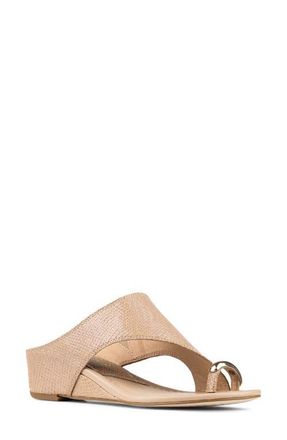 Donald J Pliner Vesna Toe Ring Wedge Sandal at Nordstrom, Size 6.5