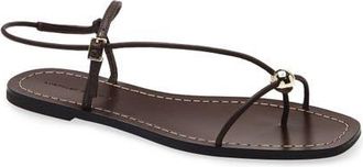 Loeffler Randall Lara Ankle Strap Sandal in Espresso at Nordstrom, Size 10.5